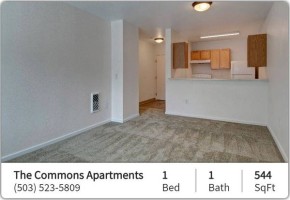 section 8 rental