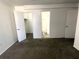 section 8 rental