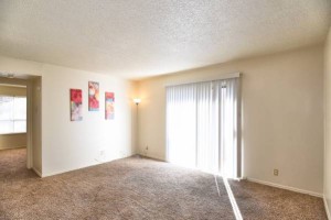 section 8 rental