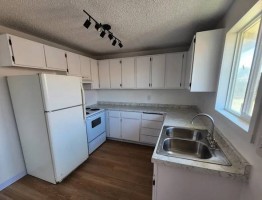 section 8 rental