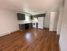 section 8 rental