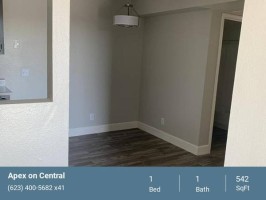 section 8 rental