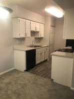 section 8 rental