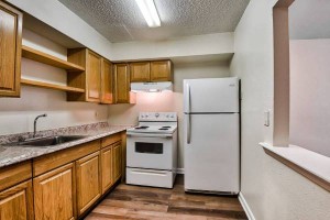 section 8 rental