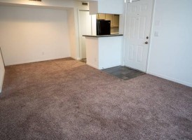 section 8 rental