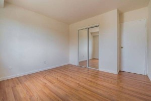 section 8 rental