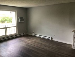 section 8 rental