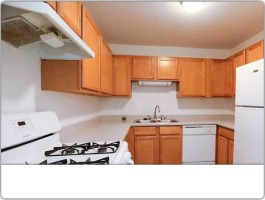 section 8 rental