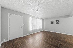 section 8 rental