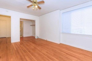 section 8 rental