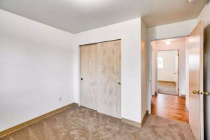 section 8 rental
