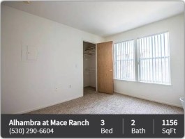 section 8 rental