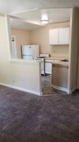 section 8 rental