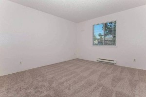 section 8 rental