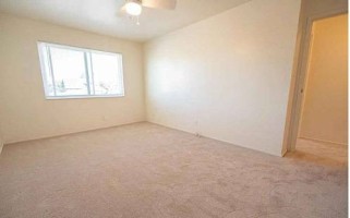 section 8 rental