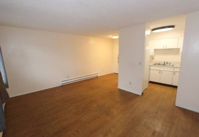 section 8 rental
