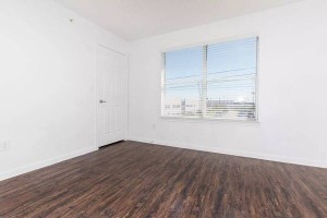 section 8 rental