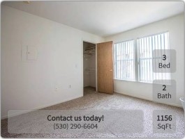 section 8 rental