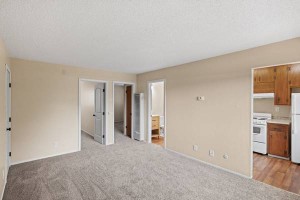section 8 rental