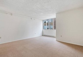 section 8 rental